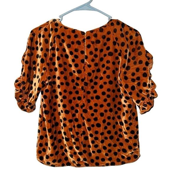 Madewell Velvet Ruffle Sleeve Top Polka Dot Brown Blouse - Picture 6 of 6